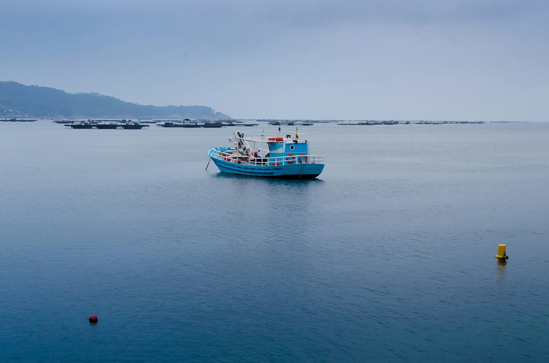 FishSat Dashboard and Lake Victoria