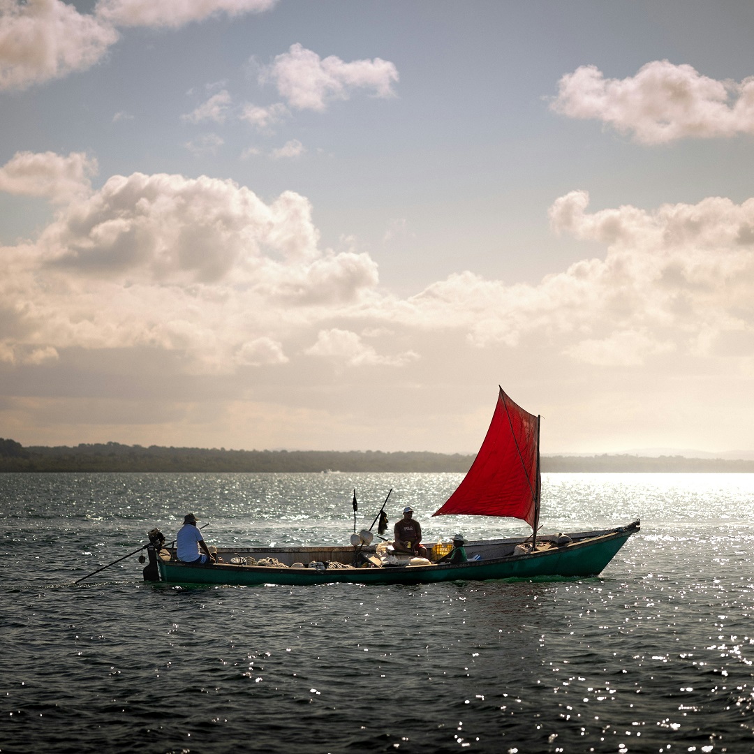 FishSat Monitoring